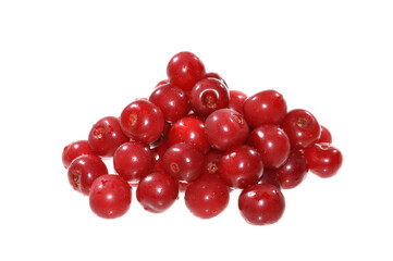 red cherry isolated on white background