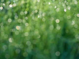 Abstract bokeh defocus glitter blur background