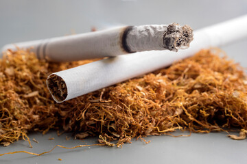 View of the burning cigarette and stack of tobacco. Smoking rates have generally declined in the developed world, but continue to rise in developing nations.