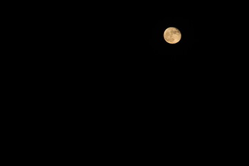Full Moon in the Night Sky