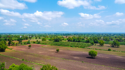 Obraz premium Aerial top view of agriculture field
