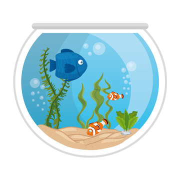aquarium fishes with water, seaweed, aquarium marine pets vector illustration design