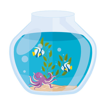 aquarium fishes and octopus with water, seaweed, aquarium marine pet vector illustration design