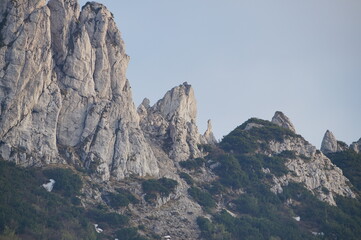 Detail am Kampenwandgipfel