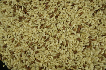background of rice