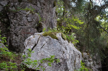 Wandern um die Gederer Wand: Sehr schöner Felsen 