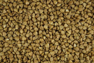 buckwheat groats background