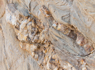 Naklejka premium Background Shale rock with quartz