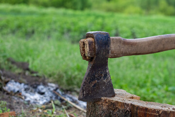 A large ax with a handle was buried in a stump, in the background a garden with seedlings