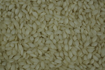 background of rice