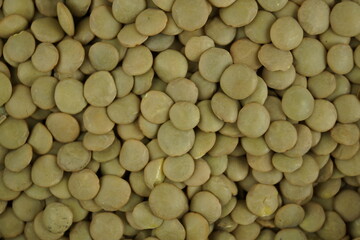 beans background