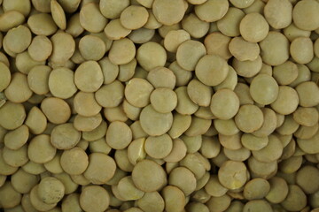 green lentils background