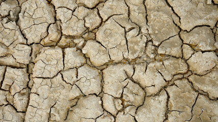 Close up of dry cracked ground for background.