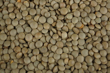 green lentils in a bowl