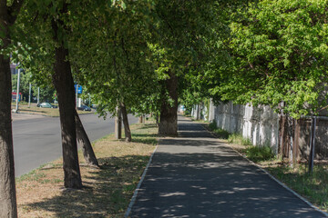 paved sidewalk in the city