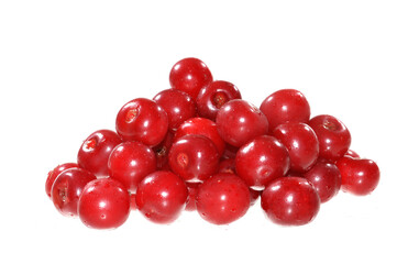 red cherry isolated on white background