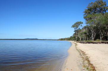 Beautiful Boreen Point in Sunshine Coast Queensland Australia.  Beach front with trees and water