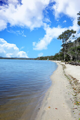 Fototapeta na wymiar Beautiful Boreen Point in Sunshine Coast Queensland Australia. Beach front with trees and water
