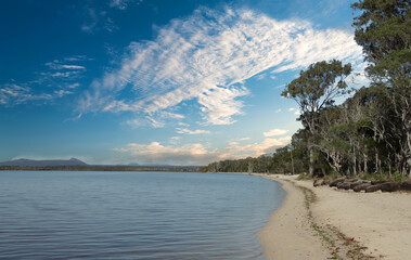 Beautiful Boreen Point in Sunshine Coast Queensland Australia.  Beach front with trees and water