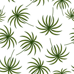 Naklejka na ściany i meble pottern of tropical green leaves on a white background, vector illustration, design, decoration, poster, banner