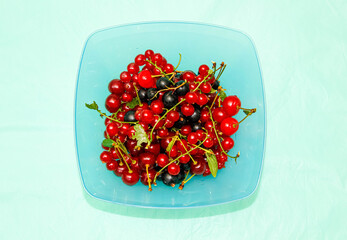 Different berries-cherries, red and black currants in a square Cup.