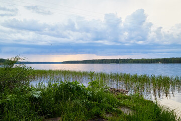 View of the lake water from the coast with trees and greenery, the horizon and blue sky with white clouds