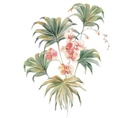 Flowers watercolor illustration.Manual composition.Big Set watercolor elements.