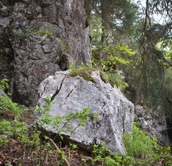Wandern um die Gederer Wand: Schöner Felsen 
