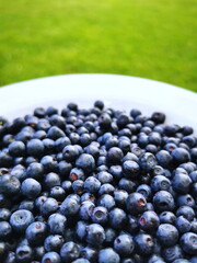 Blueberry (Vaccinium myrtillus) close-up. Berries in a white plate in the background of green grass. Forest fruits.