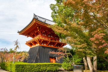 Orange Syoro Pagoda among the trees in Ninna-ij Temple in Kyoto, Japan, autumn