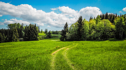 En route Main Sudetes Trail in Poland