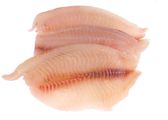 fresh raw tilapia fish fillet isolated on white background