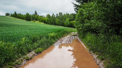 Wambierzy, en route Main Sudetes Trail in Poland