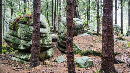 En route Main Sudetes Trail in Poland