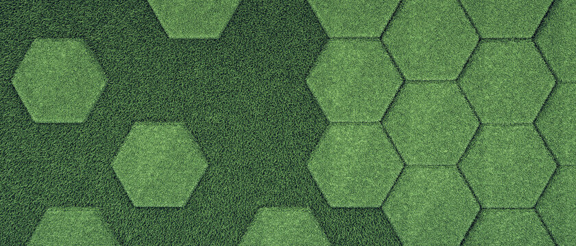 Hexagon lawn grass
