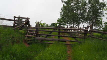 Hiking Main Sudetes Trail in Poland