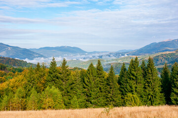 wonderful autumn landscape in evening light. open view with forest on the meadow in front of a distant valley. trees and dry grass on the hills. mountain ridge in the distance. blue sky with clouds