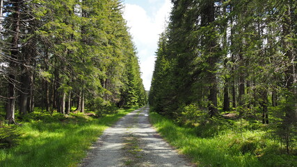 Fototapeta na wymiar Hiking Main Sudetes Trail in Poland