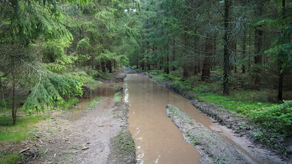 Hiking Main Sudetes Trail in Poland