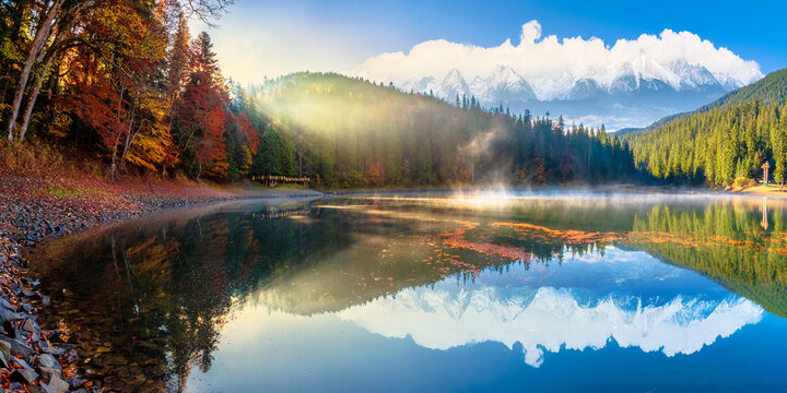 synevyr lake at foggy sunrise. misty composite landscape in mountains with snow capped tops. forest reflecting in the water. morning in fall season. trees in colorful foliage
