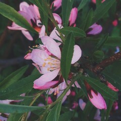 Processed with VSCO with hb2 preset