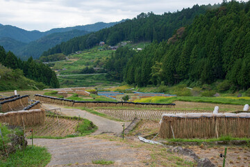 新城観光　四谷の千枚田