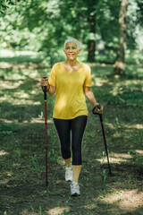 Nordic Walking Exercise