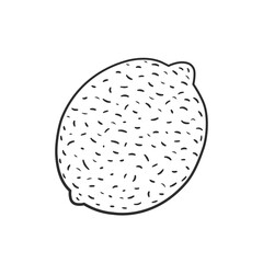 Cute single hand drawn lemon for menu, recipe and decor. Doodle vector illustration.