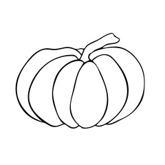 Vector sketch pumpkin. Hand drawn vector illustration in Doodle style. Can be used for vegan products, brochures, banner, restaurant menu, farmers market and organic food store.