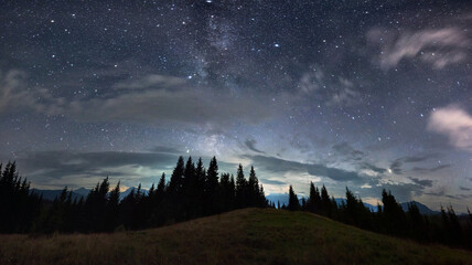 Magnificent panoramic view of night sky over grassy hill in coniferous wood. Fantastic landscape of mountain forest with tall conifer trees under majestic blue sky with stars. Concept of nature. - Powered by Adobe