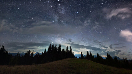 Magnificent panoramic view of night sky over grassy hill in coniferous wood. Fantastic landscape of...