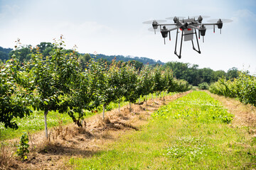Agriculture Industry Farming Technology At Plant Field