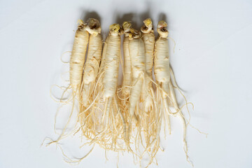 한국의 건강 약재 인삼 뿌리