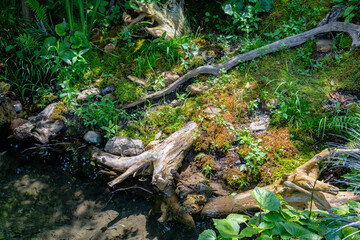 浜名湖ガーデンパーク　花の美術館